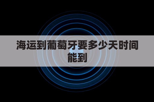 海运到葡萄牙要多少天时间能到(从中国空运到葡萄牙多少钱？)