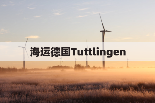 海运德国Tuttlingen(海运德国运费不到100kg能走嘛)