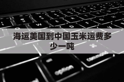 海运美国到中国玉米运费多少一吨(2020年美国玉米到中国港口价格)