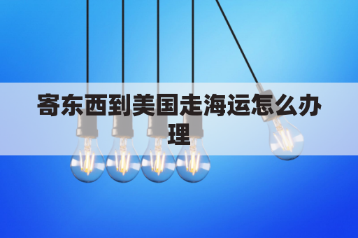 寄东西到美国走海运怎么办理(寄东西到美国走海运怎么办理手续)