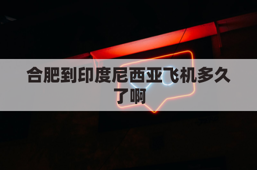 合肥到印度尼西亚飞机多久了啊(合肥到印度尼西亚飞机多久了啊多少钱)