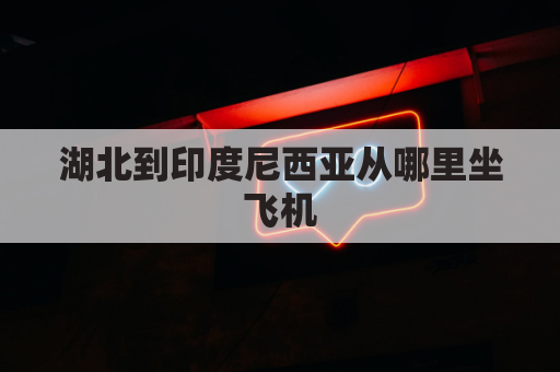 湖北到印度尼西亚从哪里坐飞机(武汉到印尼机票价格)