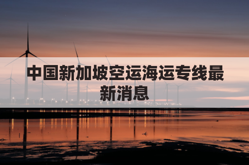 中国新加坡空运海运专线最新消息(中国新加坡空运海运专线最新消息视频)