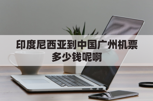 印度尼西亚到中国广州机票多少钱呢啊(印度尼西亚到中国广州机票多少钱呢啊现在)