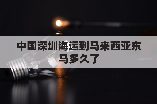 中国深圳海运到马来西亚东马多久了(马来西亚到深圳的货船要多少天)