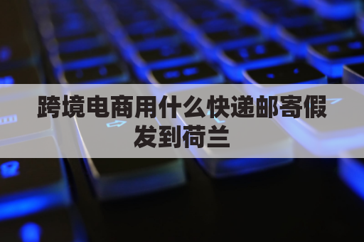 跨境电商用什么快递邮寄假发到荷兰