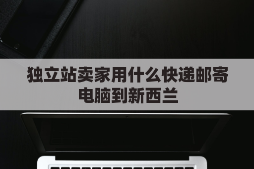 独立站卖家用什么快递邮寄电脑到新西兰