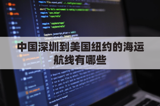 中国深圳到美国纽约的海运航线有哪些(深圳港到美国东海岸的纽约港、有几条海运线路？)