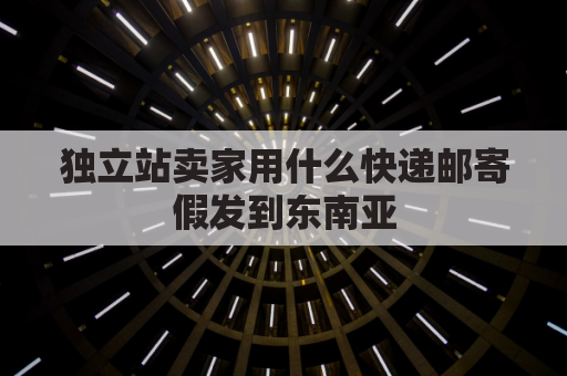 独立站卖家用什么快递邮寄假发到东南亚