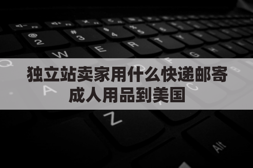 独立站卖家用什么快递邮寄成人用品到美国