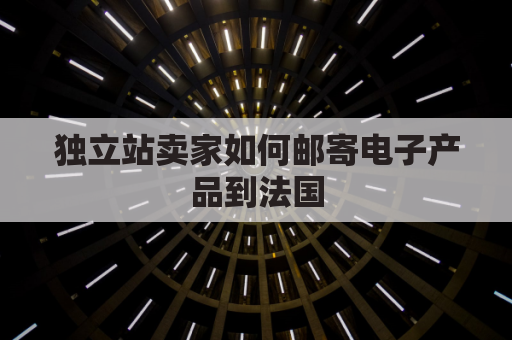 独立站卖家如何邮寄电子产品到法国