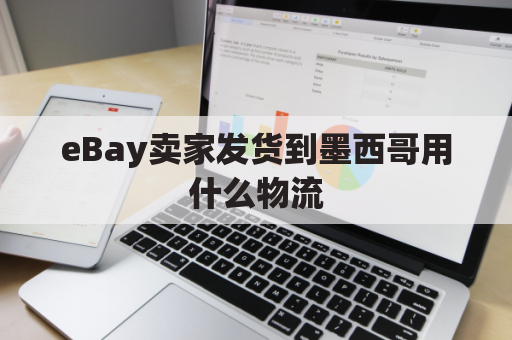 eBay卖家发货到墨西哥用什么物流