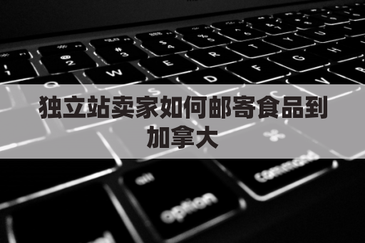 独立站卖家如何邮寄食品到加拿大