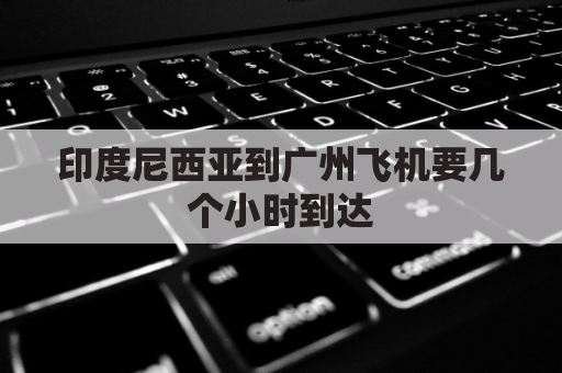 印度尼西亚到广州飞机要几个小时到达(从广州坐飞机到印度尼西亚要多少个小时)