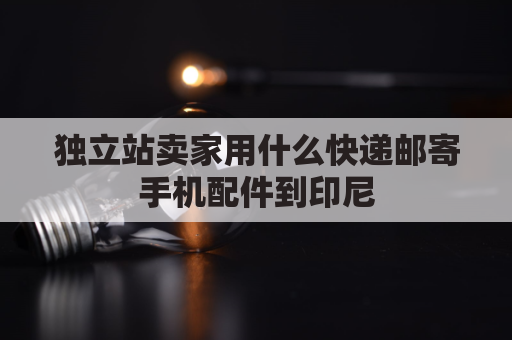 独立站卖家用什么快递邮寄手机配件到印尼