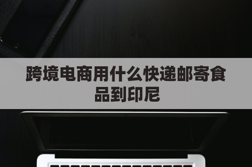 跨境电商用什么快递邮寄食品到印尼