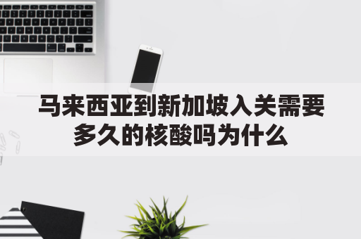 马来西亚到新加坡入关需要多久的核酸吗为什么(从马来西亚可以到新加加坡吗)