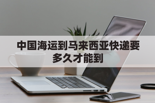 中国海运到马来西亚快递要多久才能到(中国到马来西亚海运专线物流)