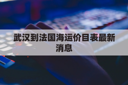 武汉到法国海运价目表最新消息(武汉到法兰克福飞行时间)