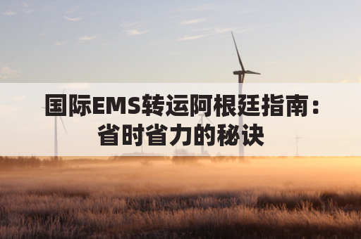 国际EMS转运阿根廷指南：省时省力的秘诀