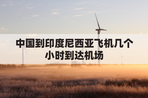 中国到印度尼西亚飞机几个小时到达机场(从中国到印度尼西亚飞机票多少钱)