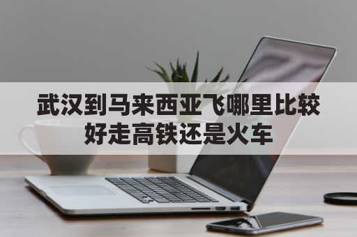 武汉到马来西亚飞哪里比较好走高铁还是火车(武汉飞马来西亚最快需要多长时间)