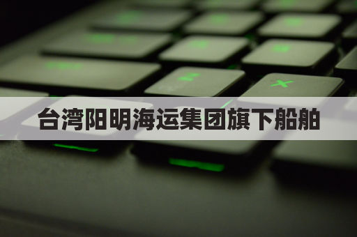 台湾阳明海运集团旗下船舶(台湾阳明海运集团旗下船舶公司)