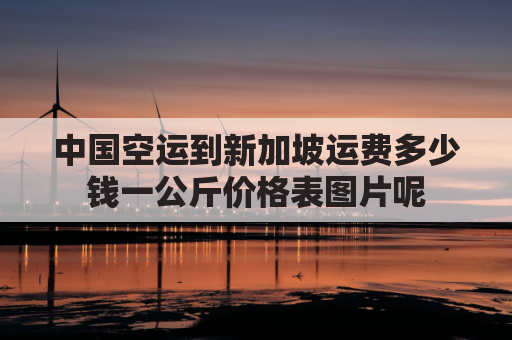 中国空运到新加坡运费多少钱一公斤价格表图片呢(中国寄到新加坡多少钱)