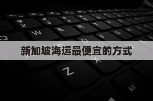 新加坡海运最便宜的方式(新加坡海运到中国大约多少钱)