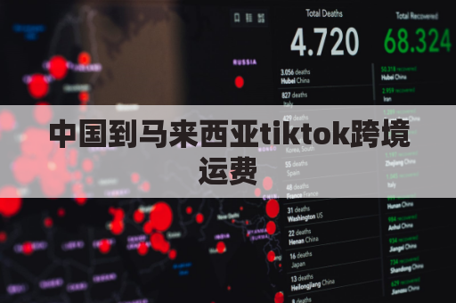 中国到马来西亚tiktok跨境运费(从中国到马来西亚快递费用)