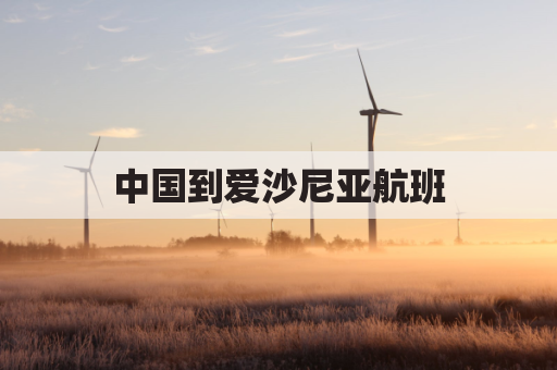 中国到爱沙尼亚航班(中国去爱沙尼亚)