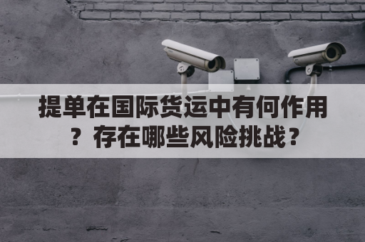 提单在国际货运中有何作用？存在哪些风险挑战？