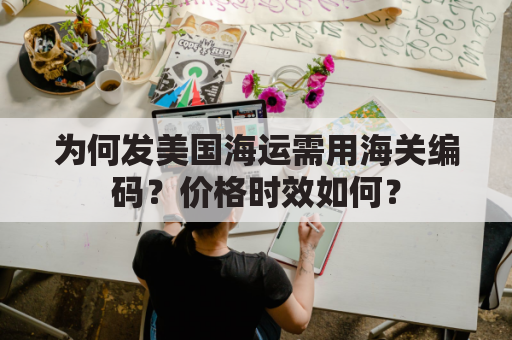 为何发美国海运需用海关编码？价格时效如何？