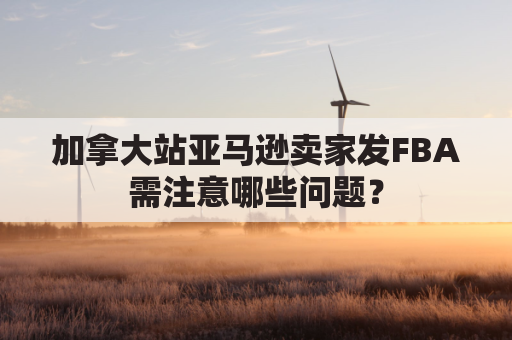 加拿大站亚马逊卖家发FBA需注意哪些问题？