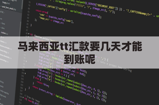 马来西亚tt汇款要几天才能到账呢(马来西亚国际汇款限制)