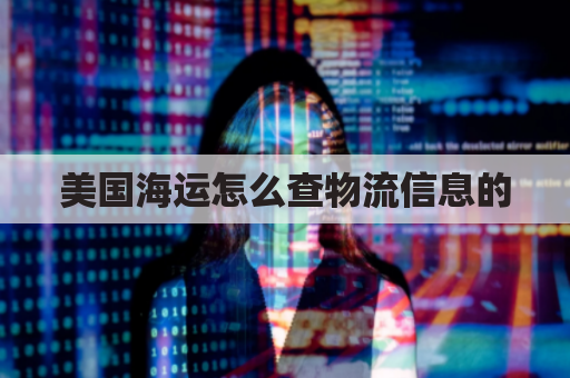 美国海运怎么查物流信息的(美国海运查询)