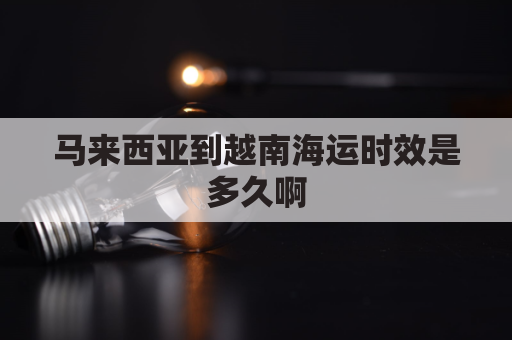 马来西亚到越南海运时效是多久啊(马来西亚到越南机票)