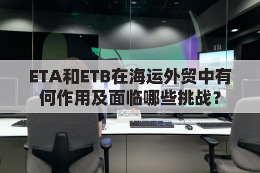 ETA和ETB在海运外贸中有何作用及面临哪些挑战？