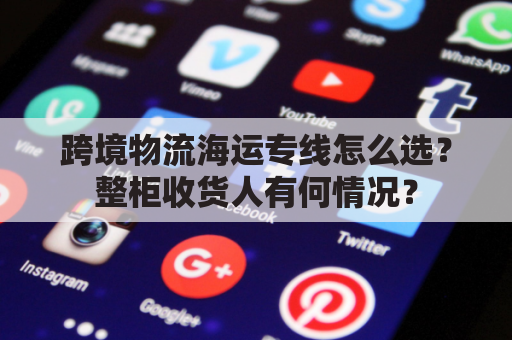 跨境物流海运专线怎么选？整柜收货人有何情况？