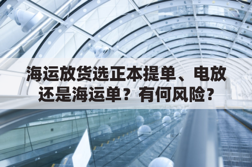 海运放货选正本提单、电放还是海运单？有何风险？