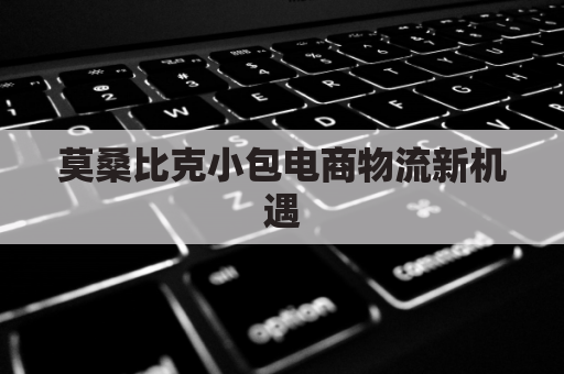 莫桑比克小包电商物流新机遇