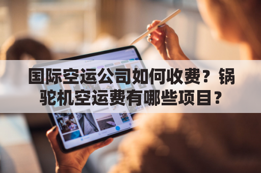 国际空运公司如何收费？锅驼机空运费有哪些项目？