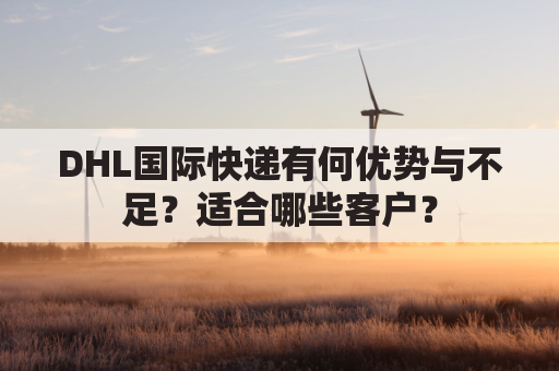 DHL国际快递有何优势与不足？适合哪些客户？