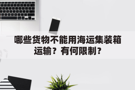 哪些货物不能用海运集装箱运输？有何限制？