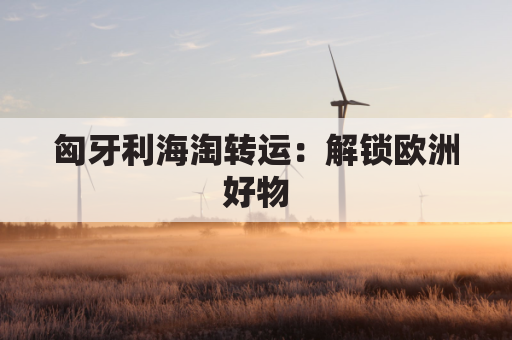 匈牙利海淘转运：解锁欧洲好物，尽享购物乐趣