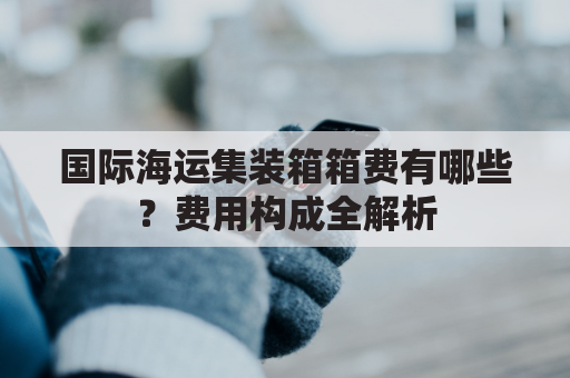 国际海运集装箱箱费有哪些？费用构成全解析