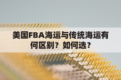 美国FBA海运与传统海运有何区别？如何选？