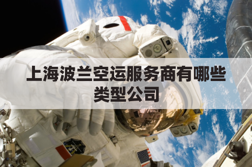上海波兰空运服务商有哪些类型公司(波兰航空电话)