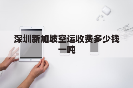 深圳新加坡空运收费多少钱一吨(深圳新加坡航班查询)