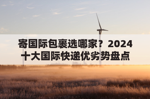 寄国际包裹选哪家？2024十大国际快递优劣势盘点